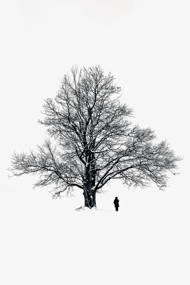 Photograph by Мальцев Евгений