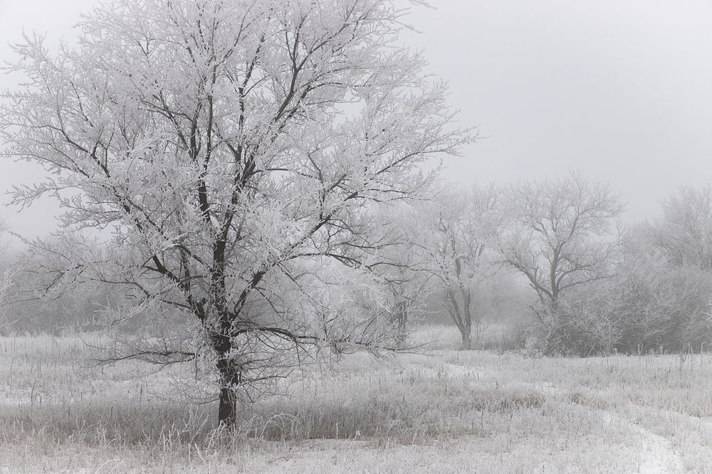Photograph by Ксения Азаренко