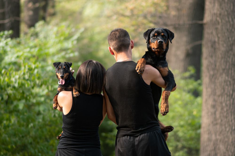 Photograph by кермит