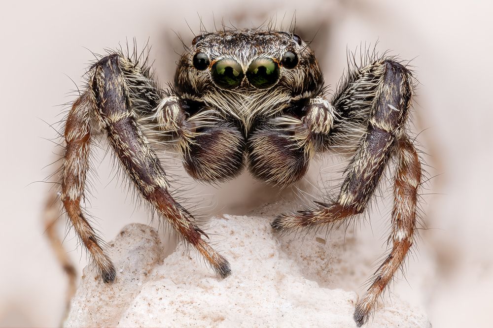 Photograph by Richard Kubica