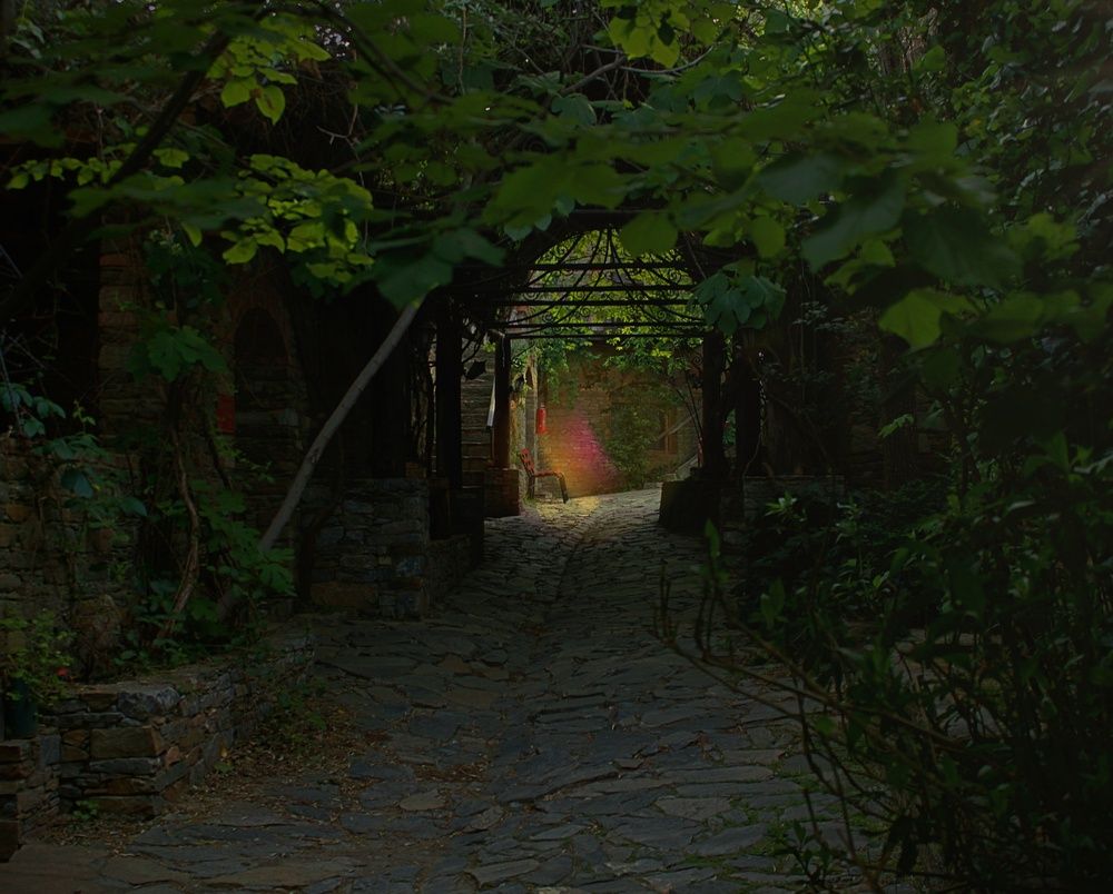 Photograph by Şeyma Gez