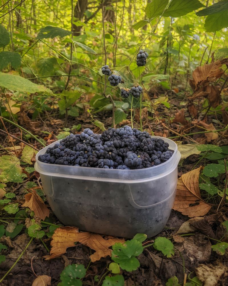 Photograph by Дудников Александр