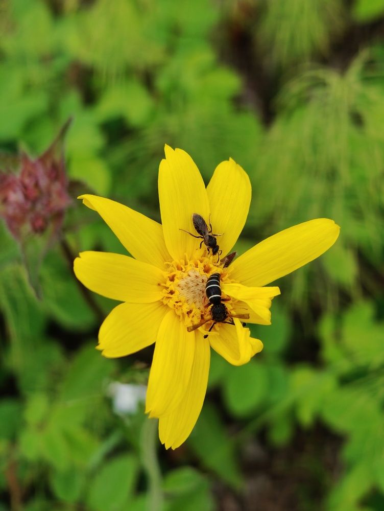 Photograph by Нина Кольман