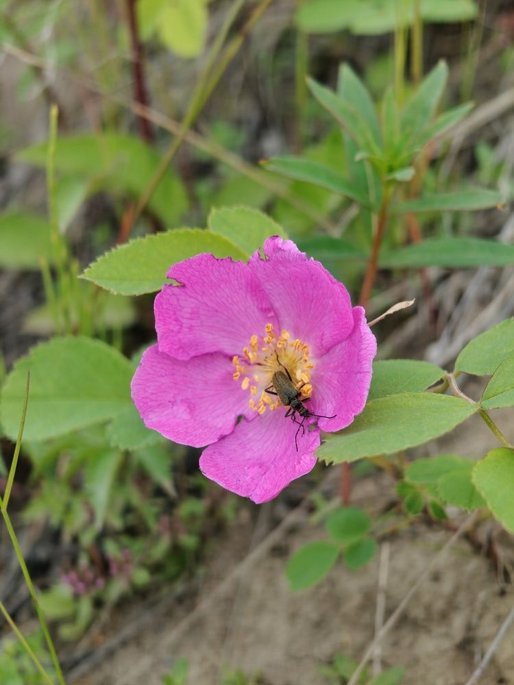 Photograph by Нина Кольман