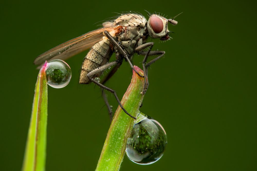 Photograph by Richard Kubica