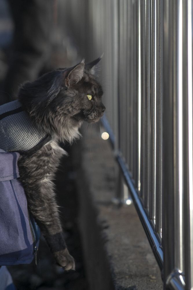 Photograph by Elena Kostochkina