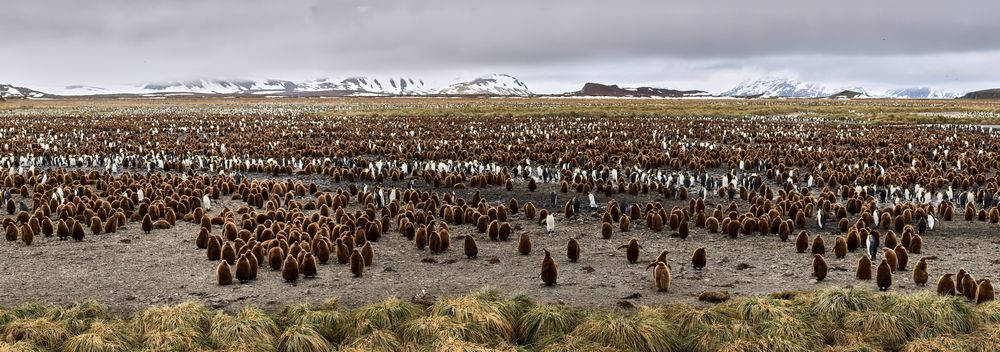 Отцы и дети