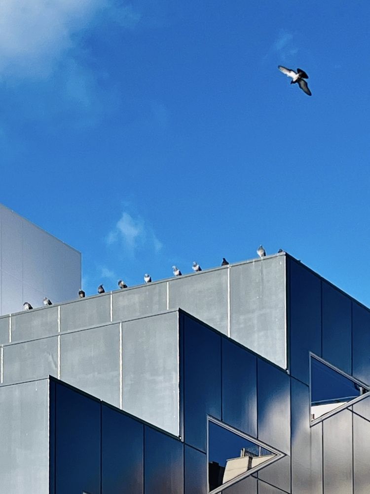 Majority or Minority