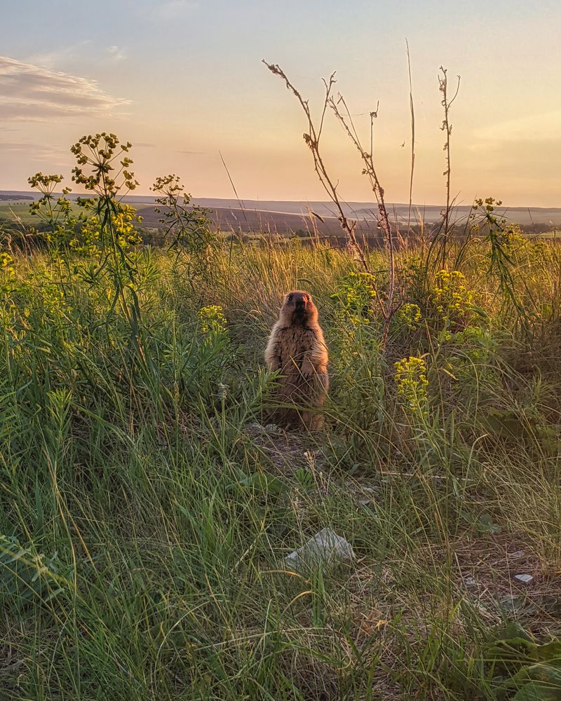 Photograph by Дудников Александр