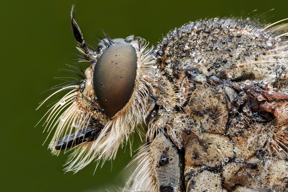 Photograph by Richard Kubica