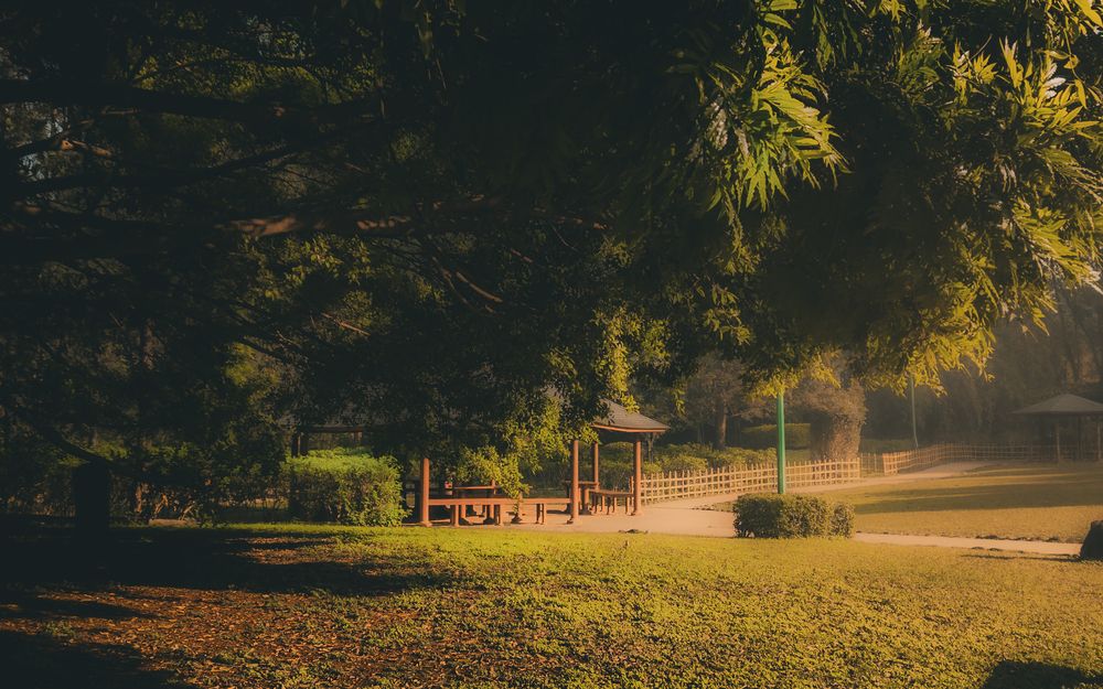 Photograph by Dhruv Mistry