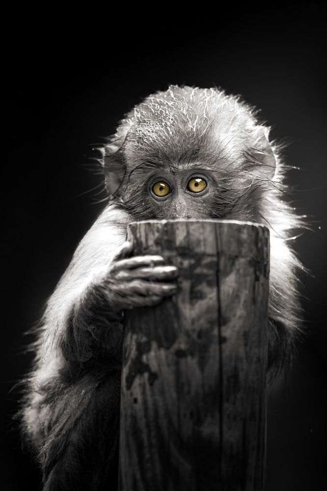 Photograph by AKAO TAITO