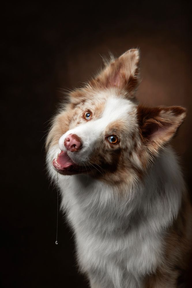 Photograph by Лана Полякова