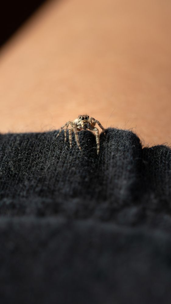 Photograph by Эмилия Лаце