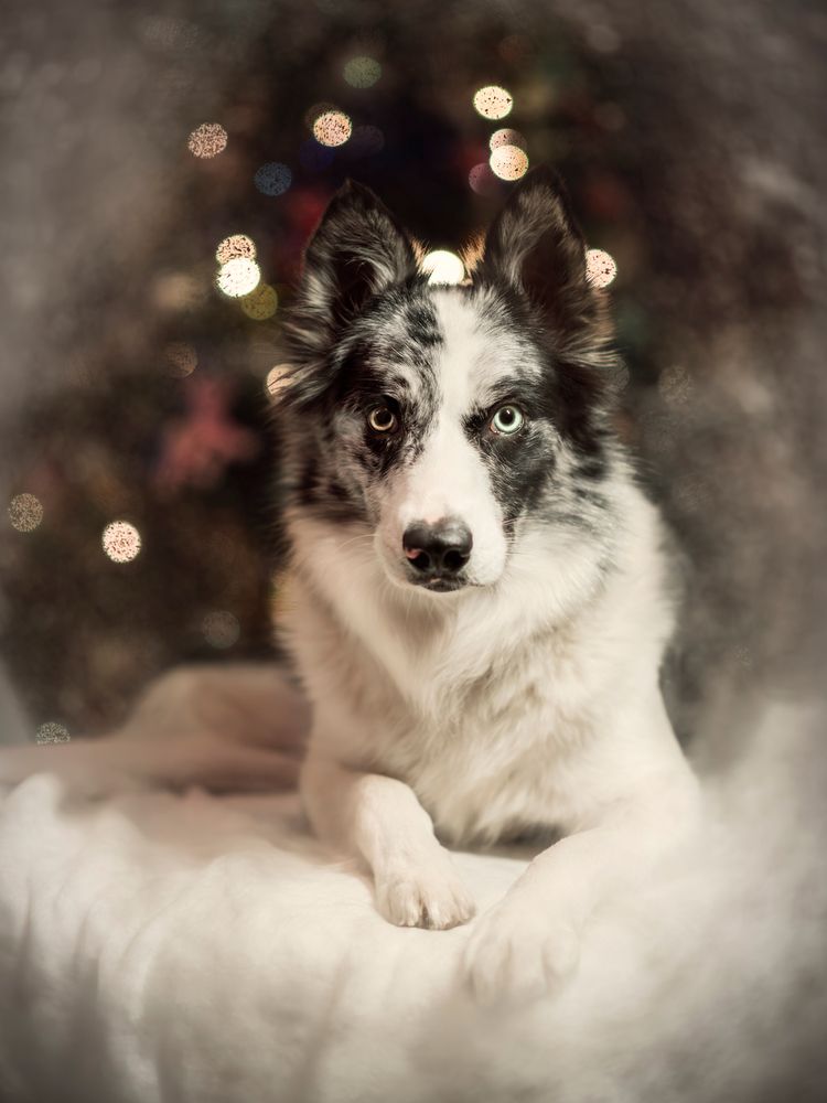 Photograph by Tamara Lebón Sánchez