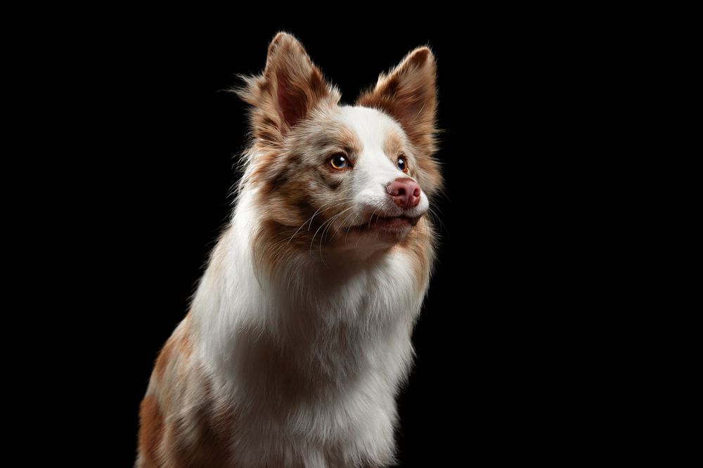 Photograph by Лана Полякова