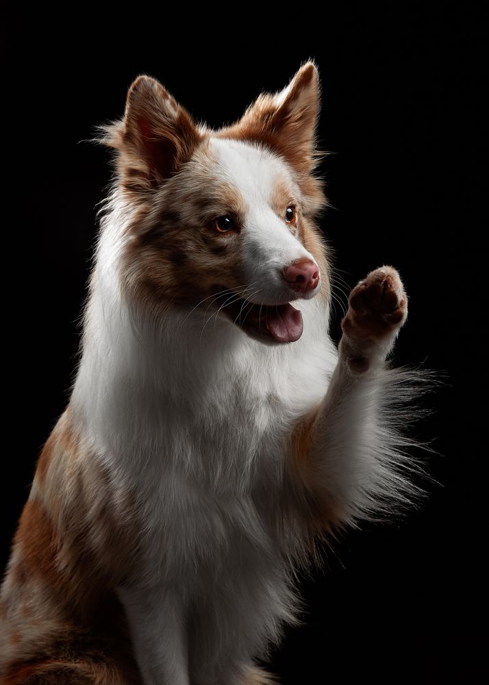 Photograph by Лана Полякова