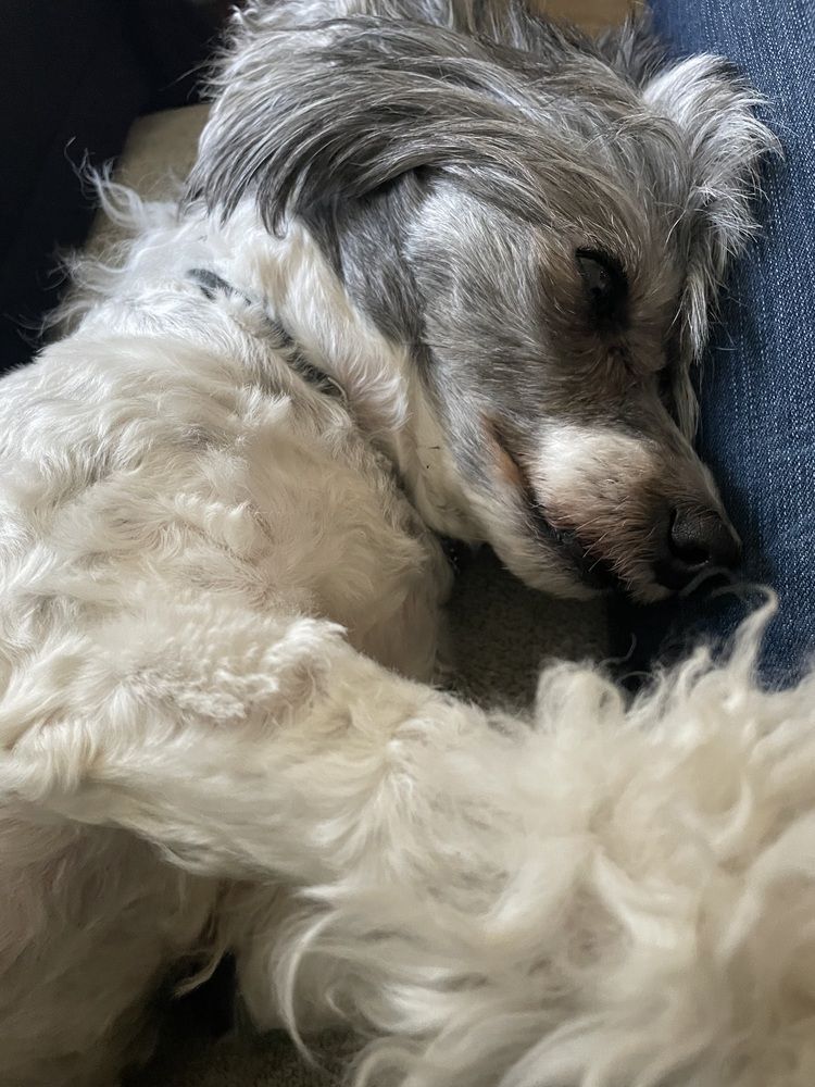 Фотография автора Арина Мясникова