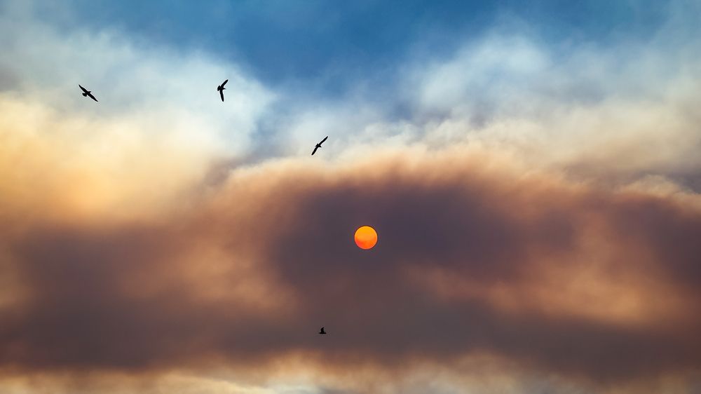 Photograph by Роман Алейников