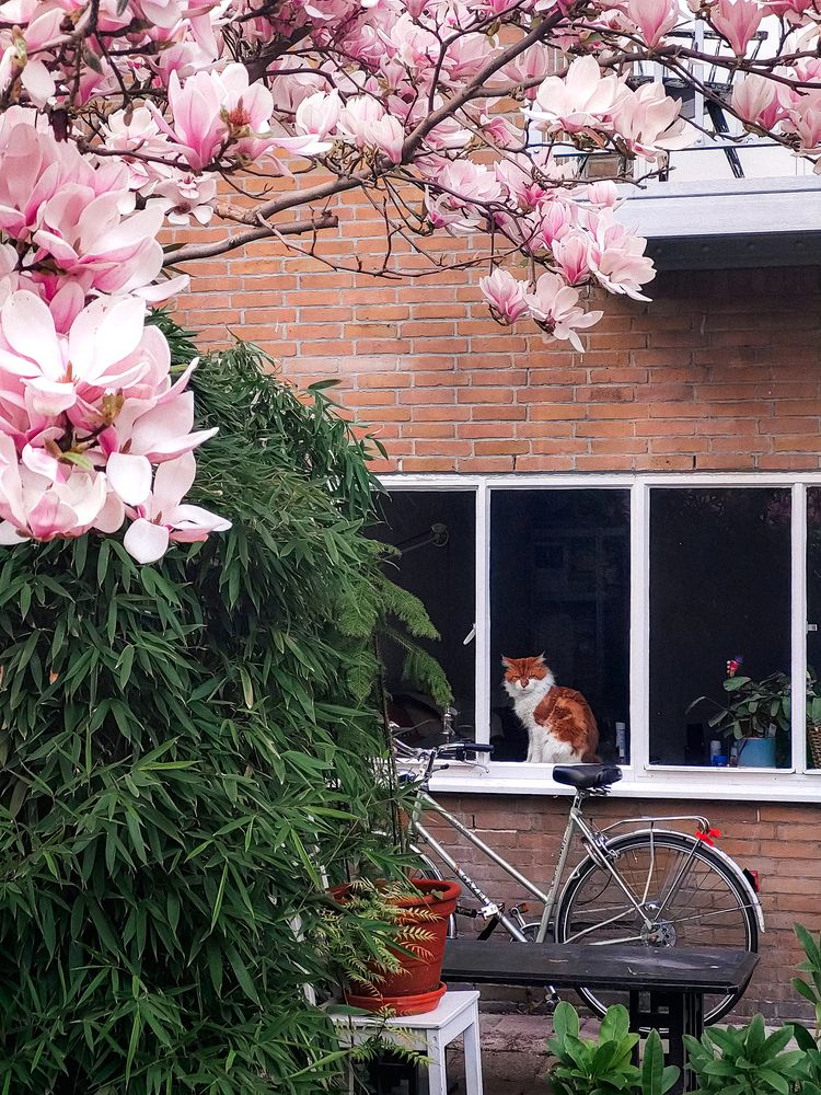 Фотография автора Марина Ротнова