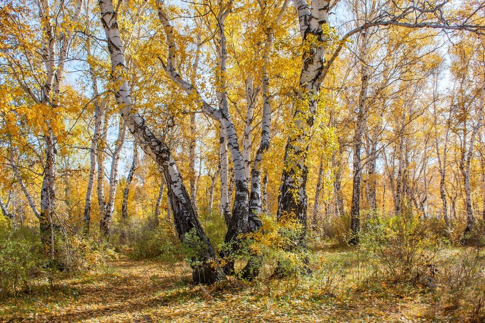 Photograph by Валерий Федяров