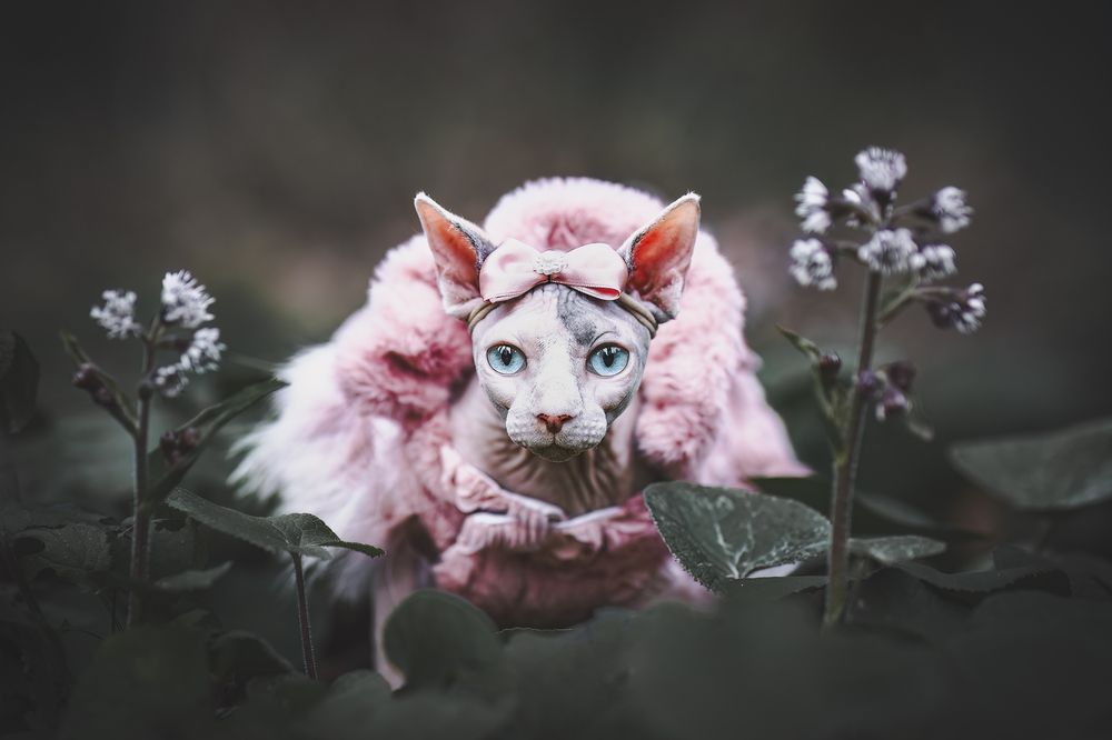 Photograph by GRISELDA FERNANDEZ