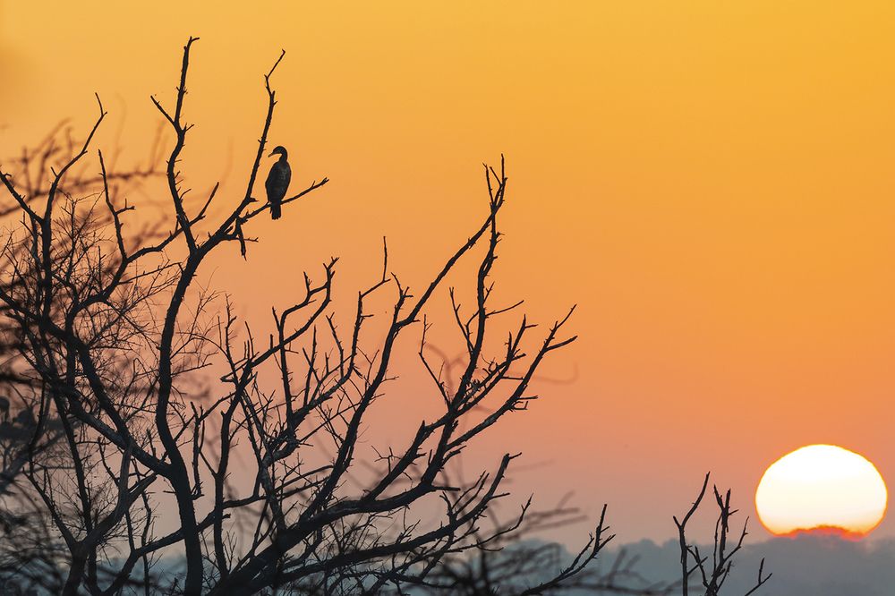 Photograph by Manaska Mukhopadhyay