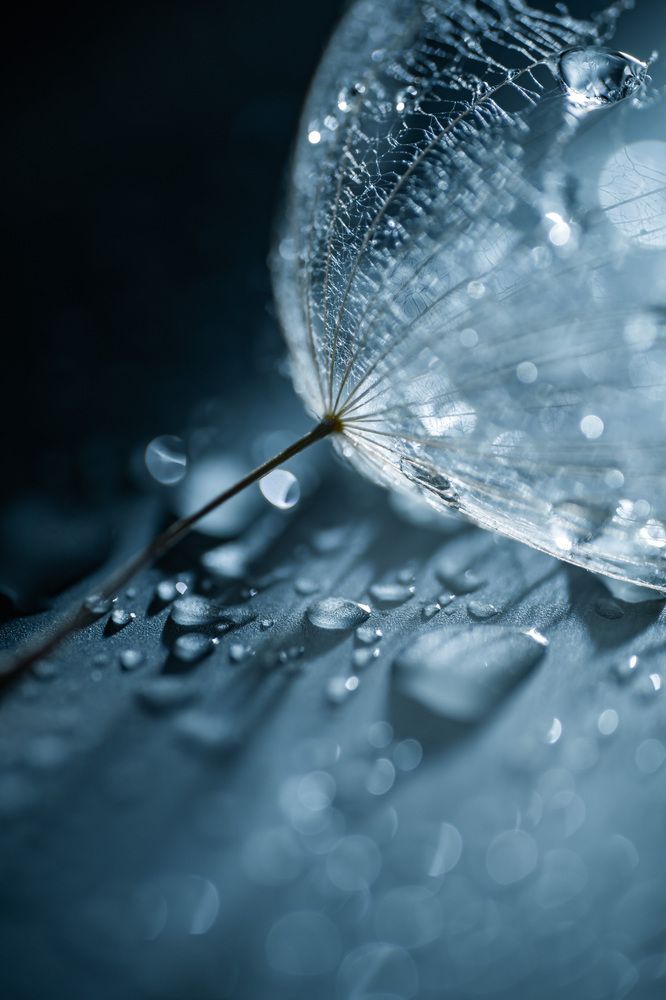 Photograph by Анна Бобкова