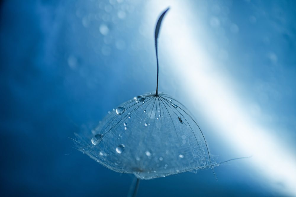 Photograph by Анна Бобкова