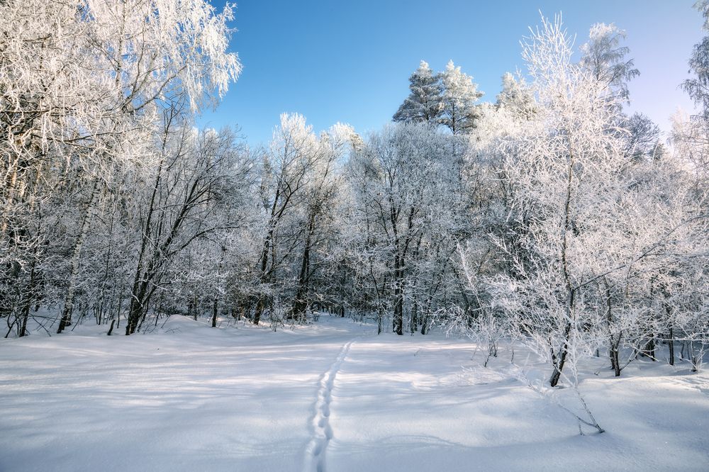 Photograph by Никитин Алексей