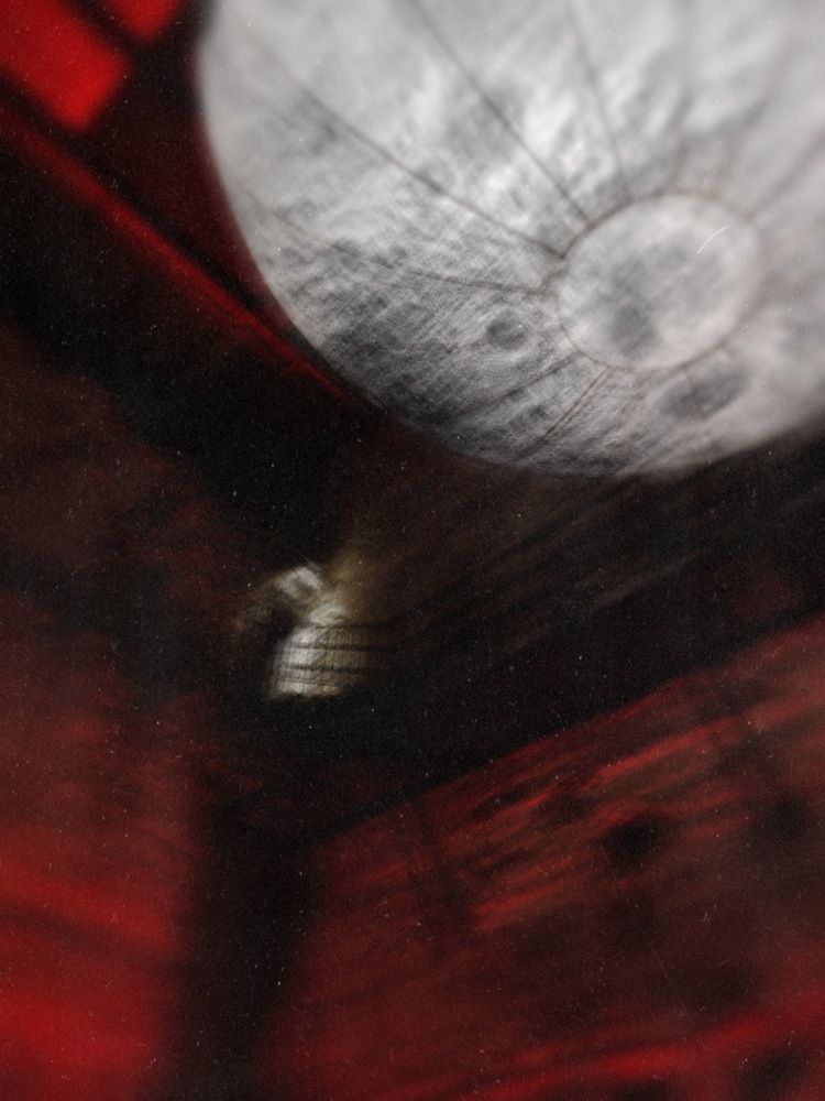 Photograph by Богдан Шаманов