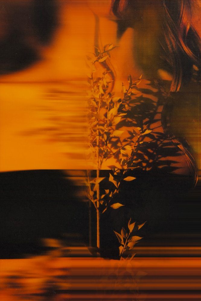 Photograph by Богдан Шаманов