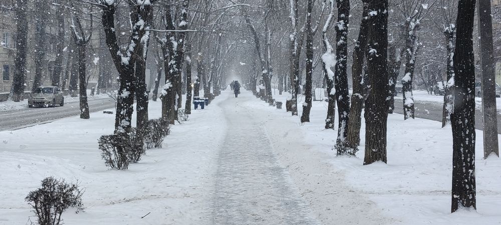 Photo #11992177