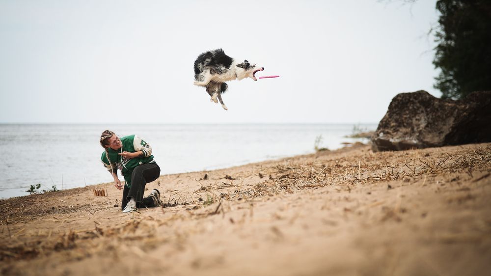 Photograph by Настасья Андреевна