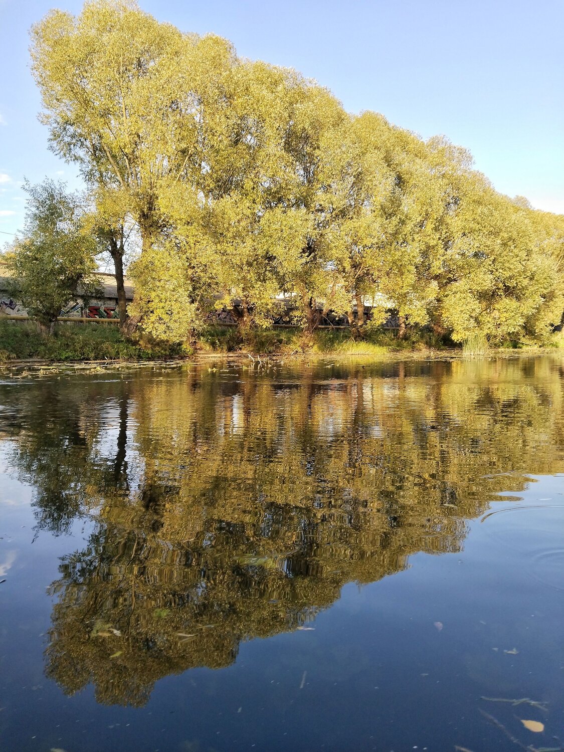 Photo #11992227