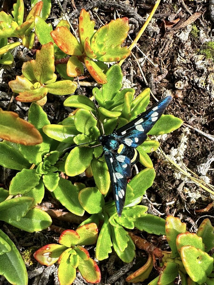 Photograph by Татьяна Галаева