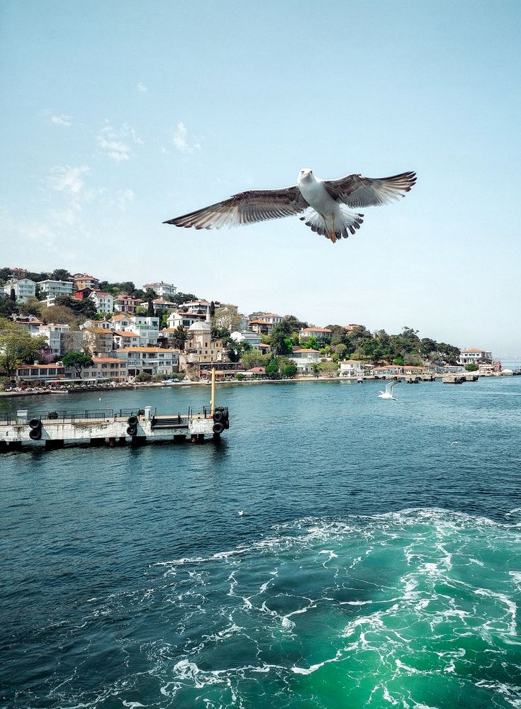 Фотография автора Марина Ротнова