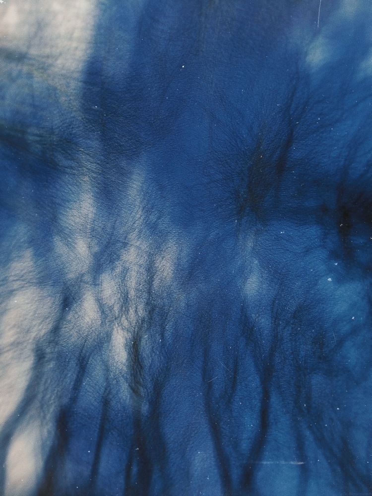 Photograph by Богдан Шаманов