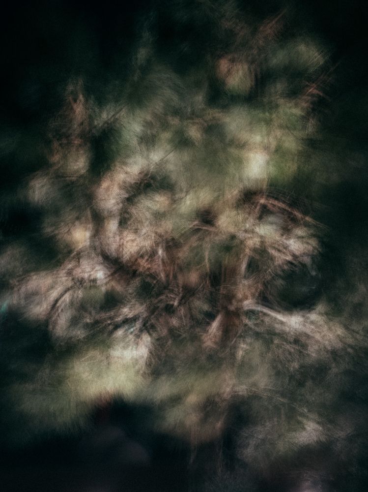 Photograph by Богдан Шаманов