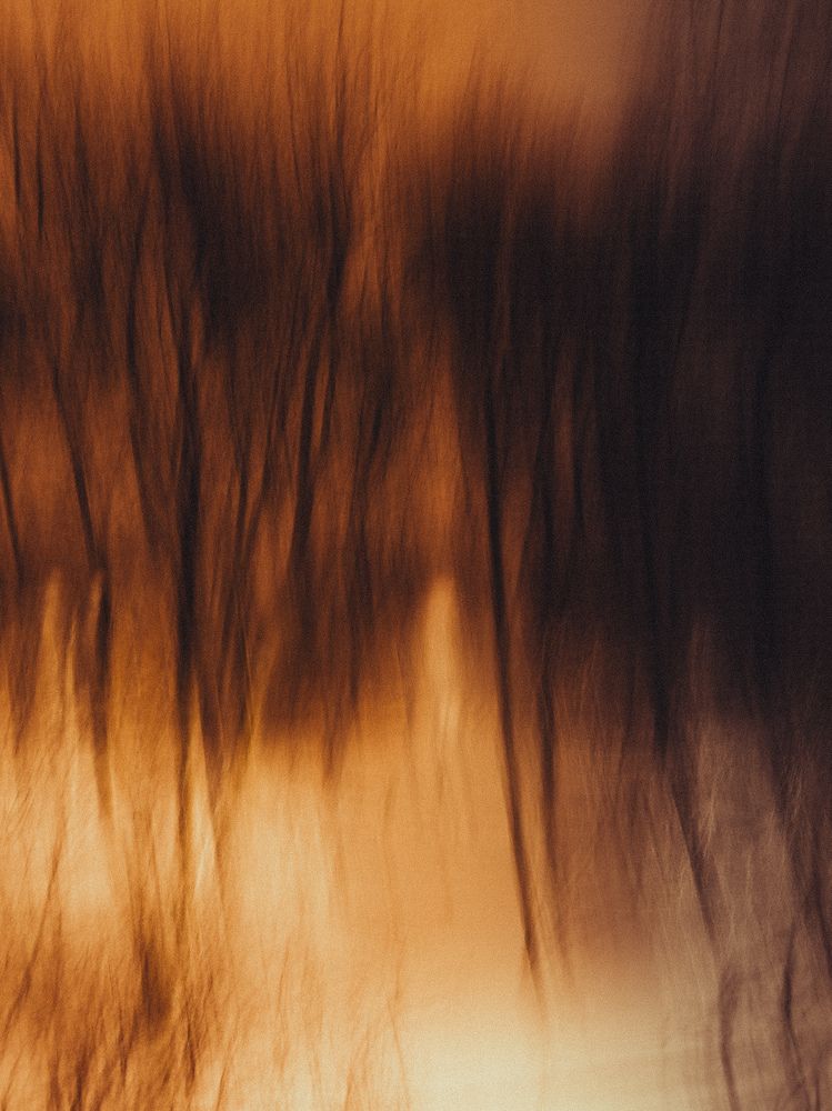 Photograph by Богдан Шаманов