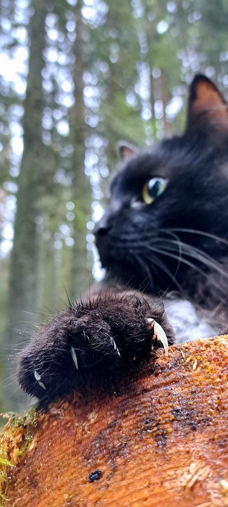 Photograph by Галина Перепечаева