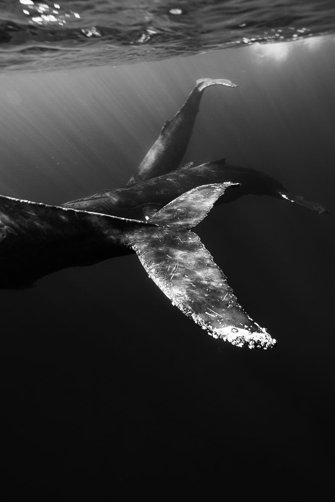 Photograph by Damian Almua