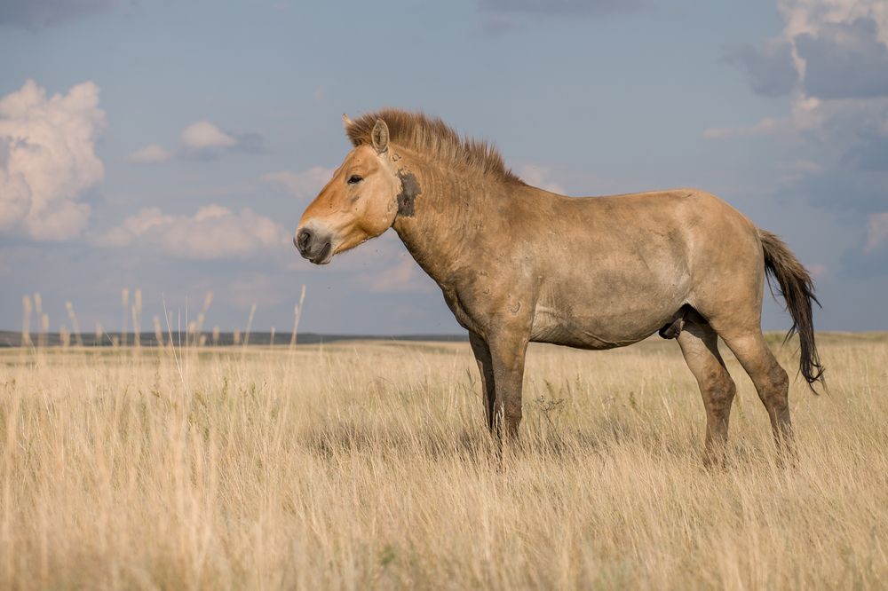 Photograph by Ирина Мошковская