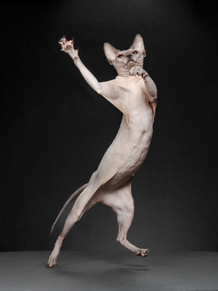 Photograph by Ирина Левакова