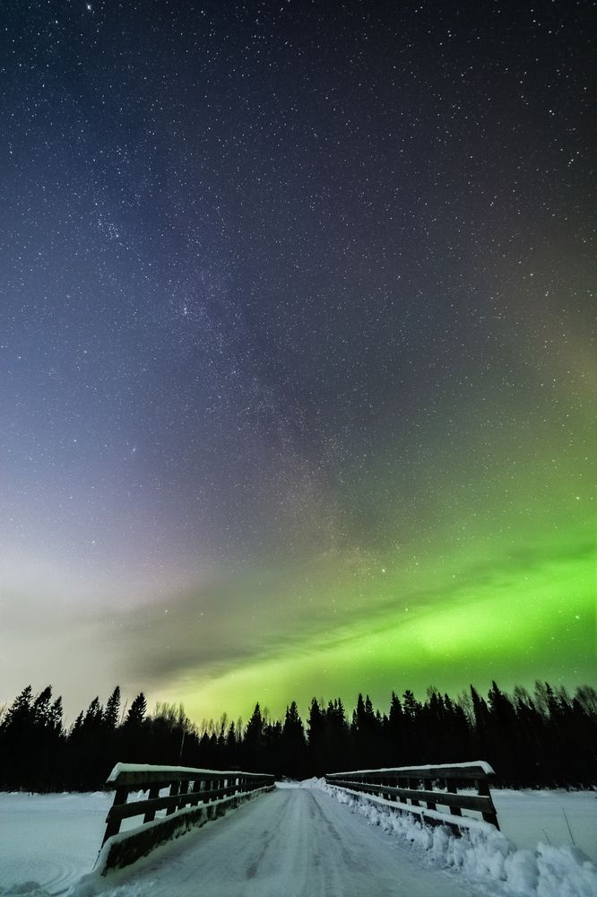 Photograph by Alexey Kabanikhin