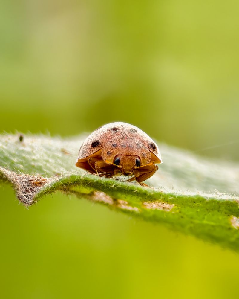 Photograph by Aperture Thonnivasi