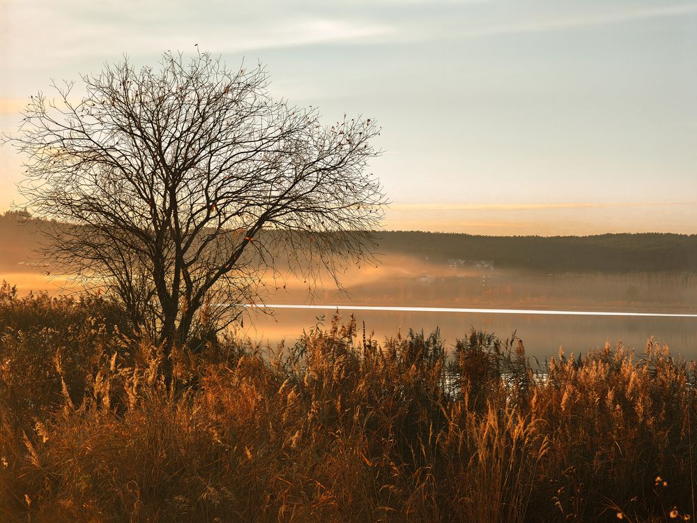 Photograph by Victor Mylov