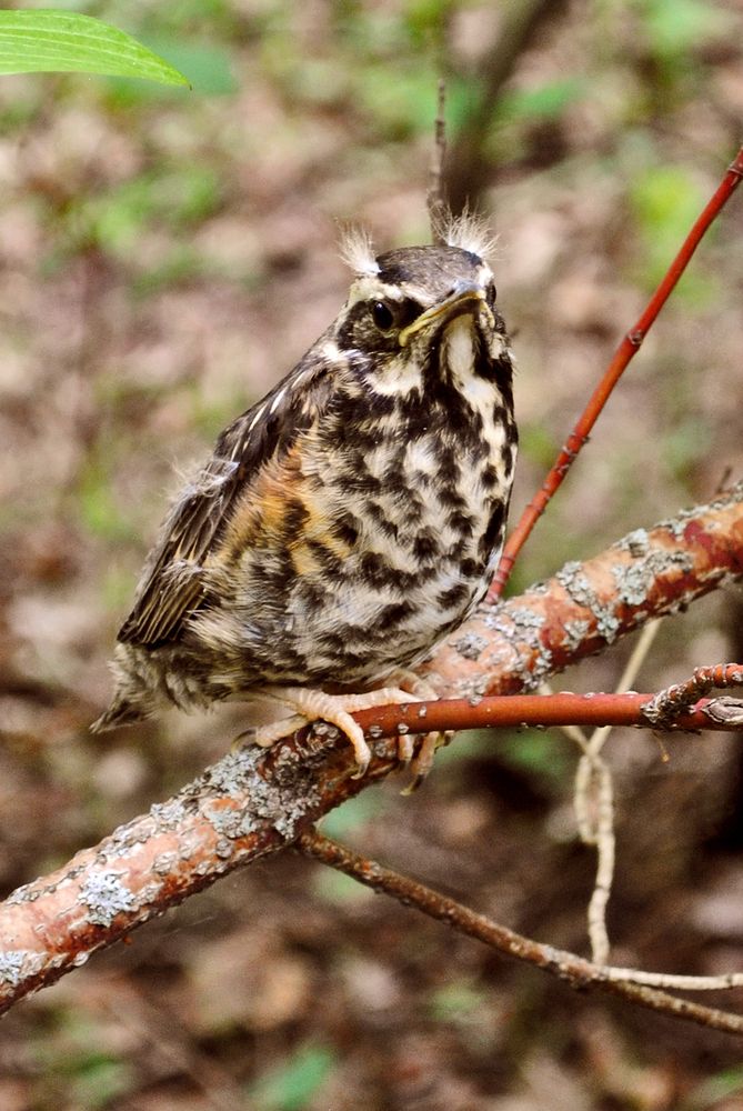 Photograph by Полевщиков Юрий