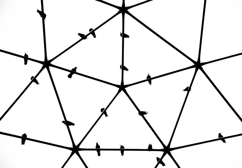 Trapped in the Invisible Cage