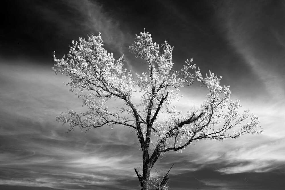 Photograph by Cristian Bertolini